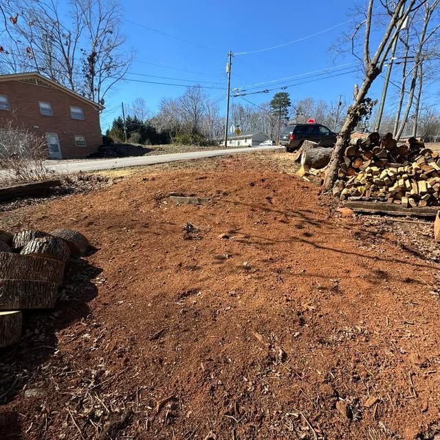 Stump Removal