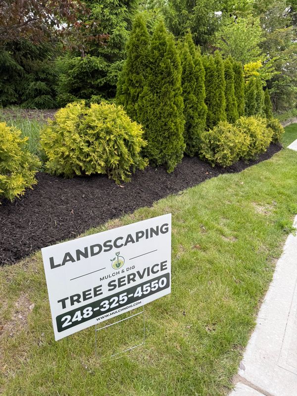 Tree Trimming & Removal