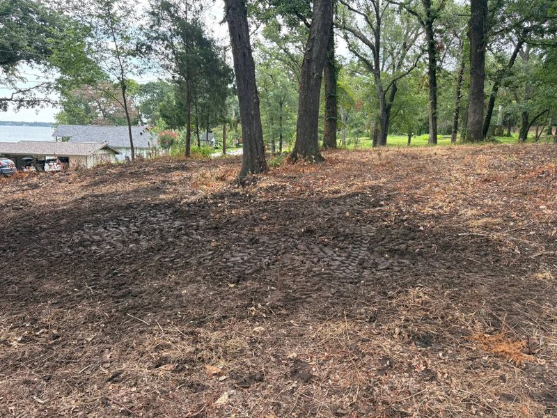 Land Clearing