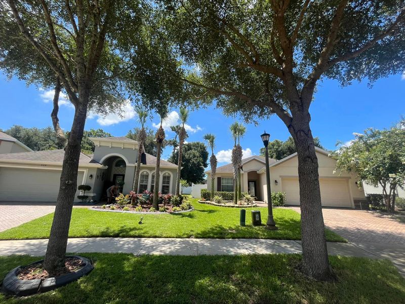 Lawn and Landscaping