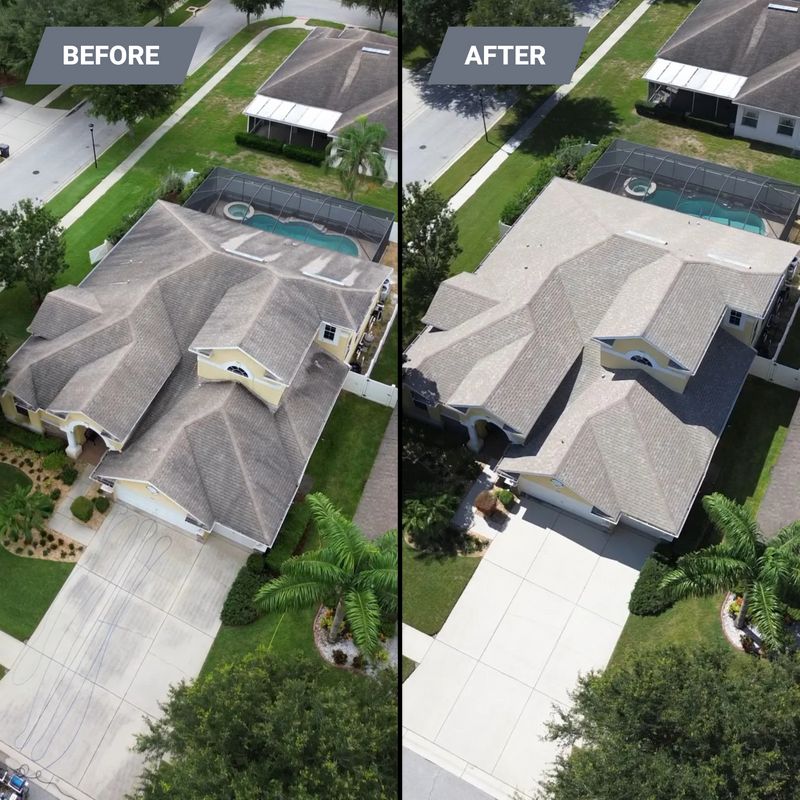 Roof Cleaning