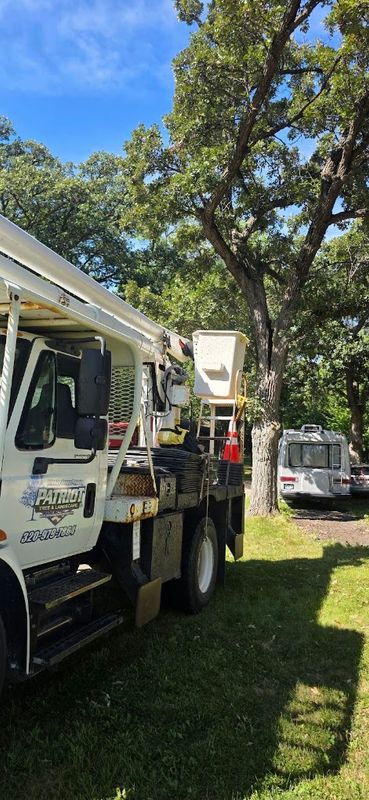 Tree Removal