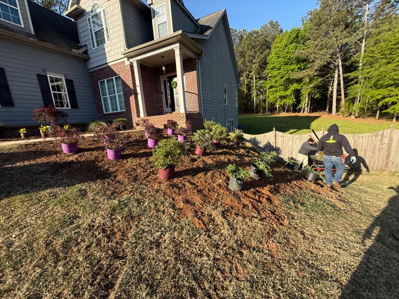 Pine Straw and Mulch