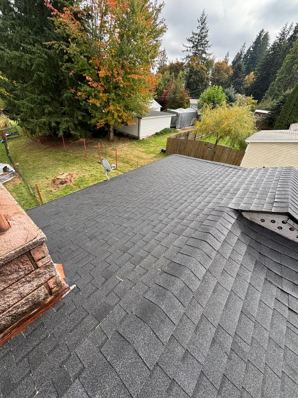 Pristine Roof Transformation with Elite Soft Washing