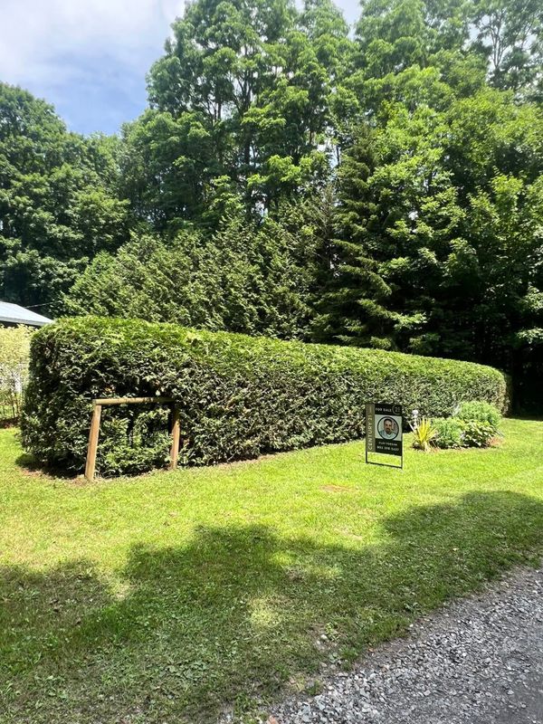 Landscaping and Hardscaping