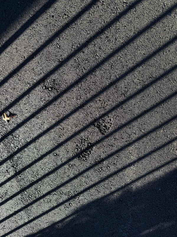 Driveway Paving