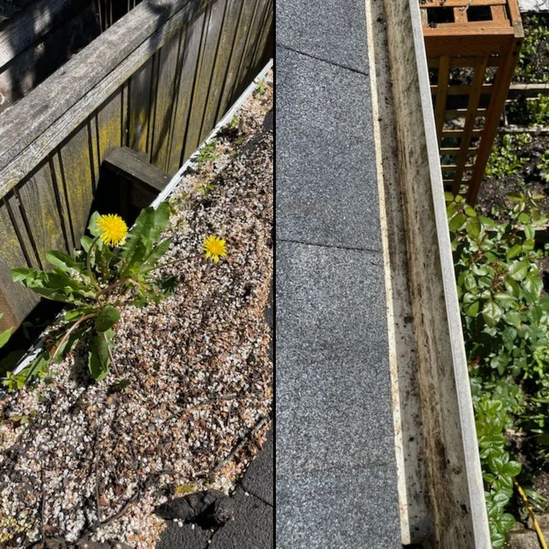 Gutter Cleaning