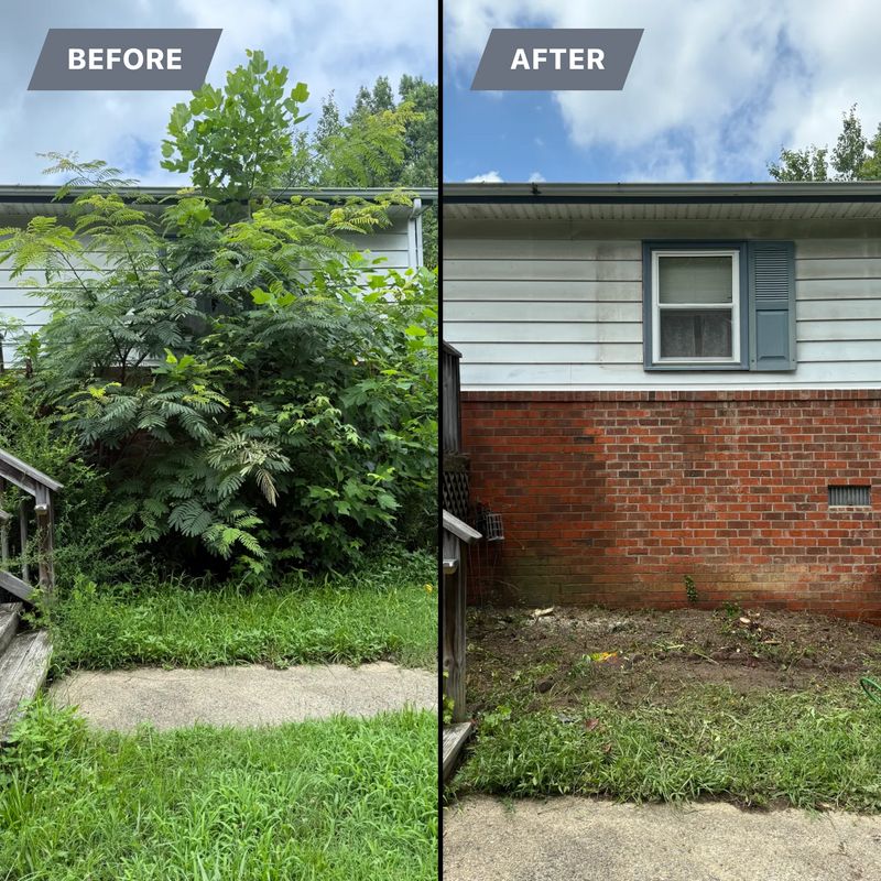 Before & After
