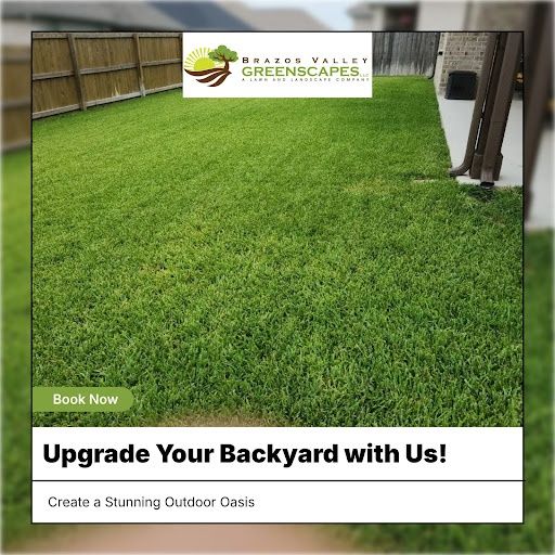 Lawn Maintenance