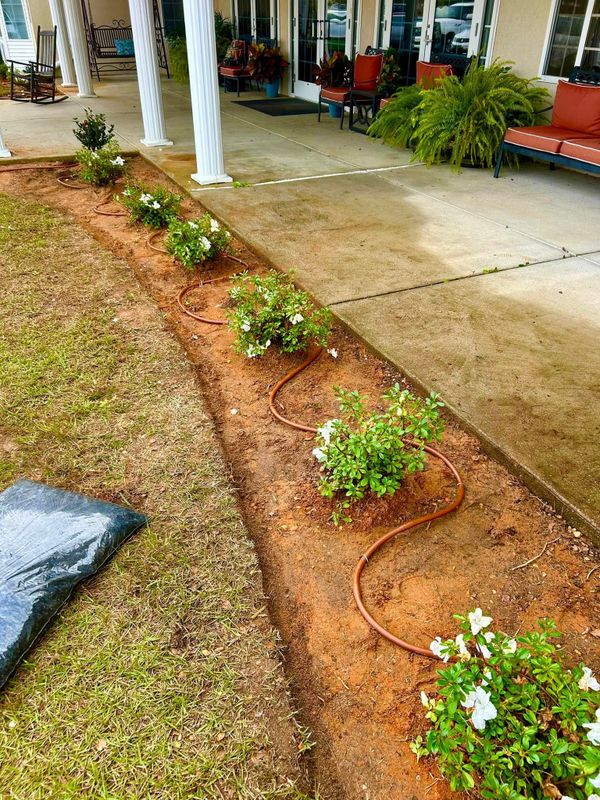 Garden Design