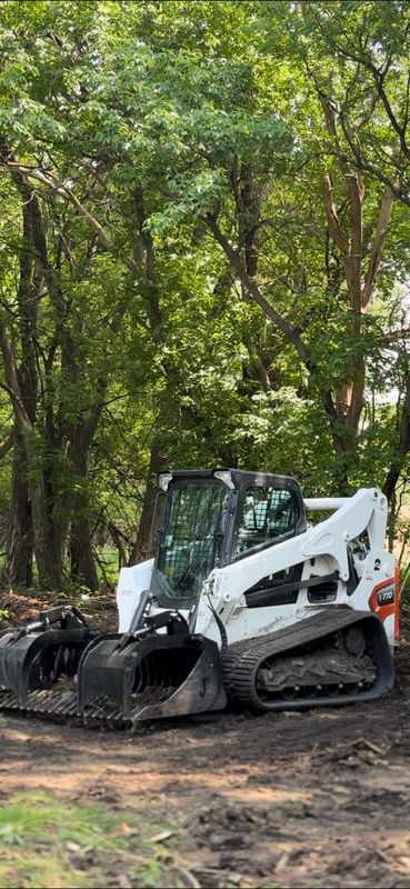 Land clearing