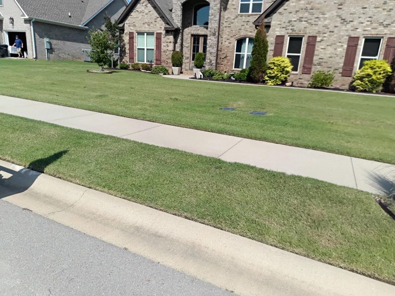 Landscape And Design