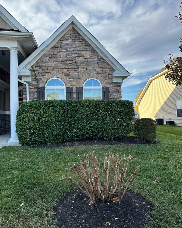Shrub Trimming