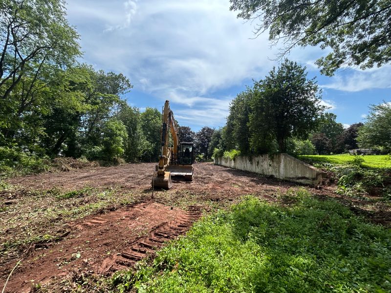 Land Clearing