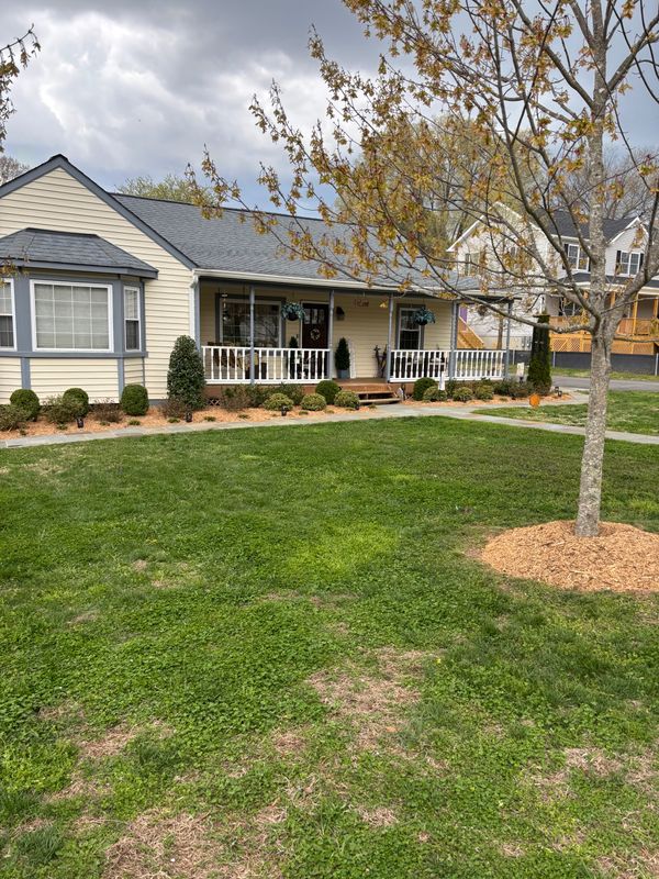 Lawn Care & Maintenance