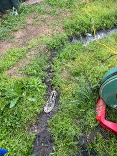Drain Cleaning