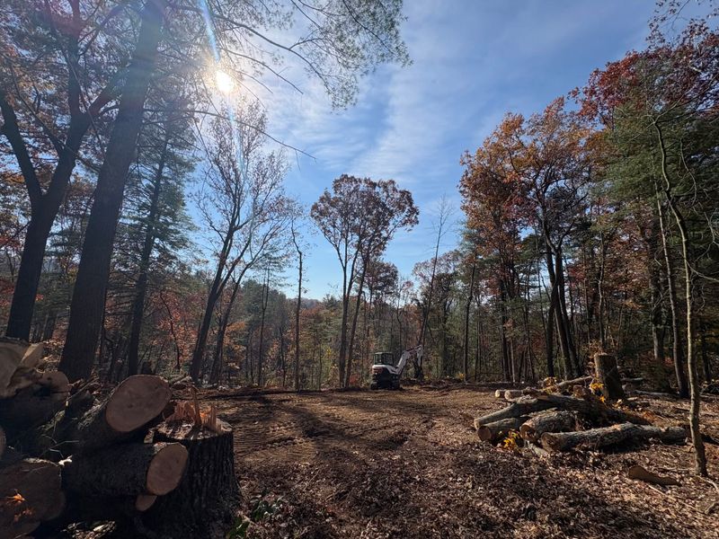 Land Clearing