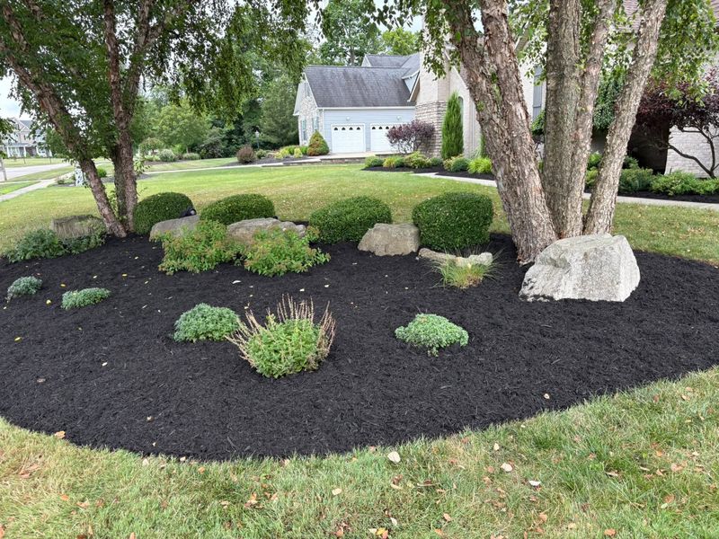 Landscaping