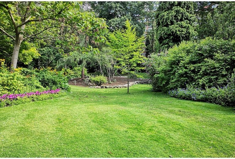 Lawn Care & Maintenance