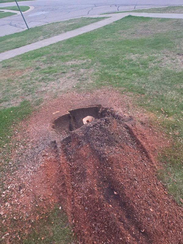 Stump Removal