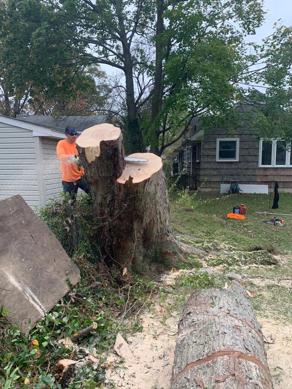 Debris Cleanup