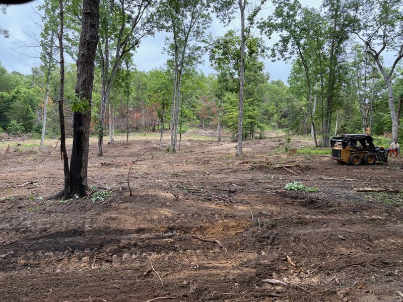 Land Clearing