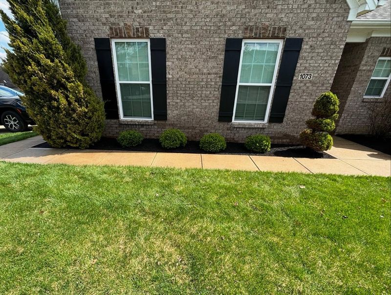 Landscaping