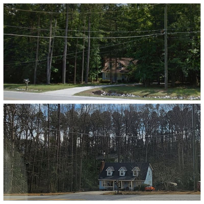 Tree Removal