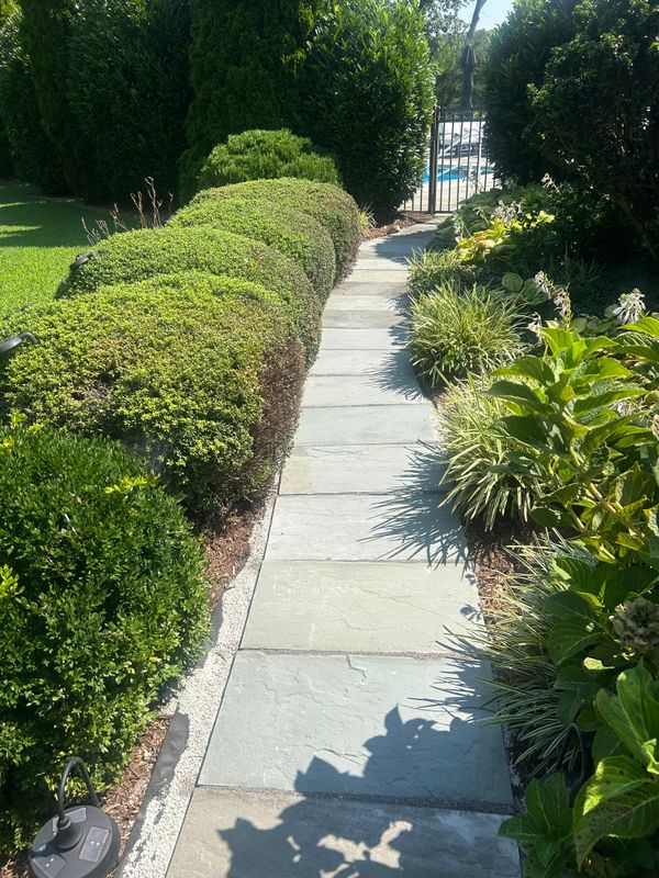 Shrub & Plant Trimming 