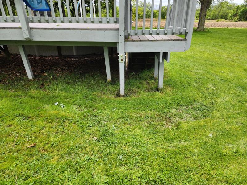 Professional Deck Building