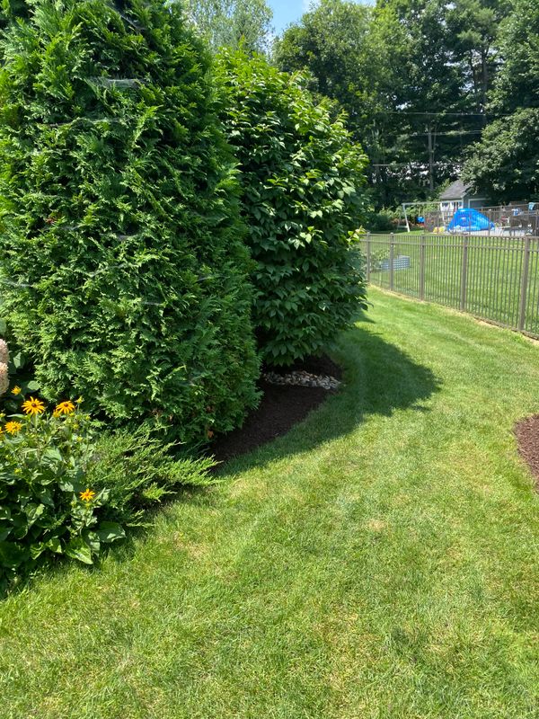 Mulching