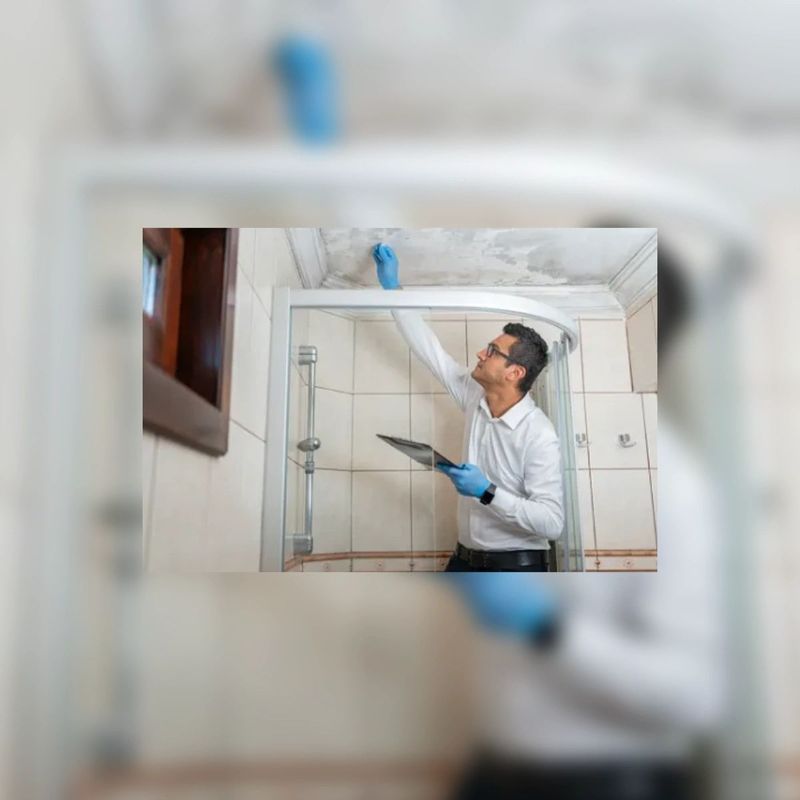 Mold Remediation