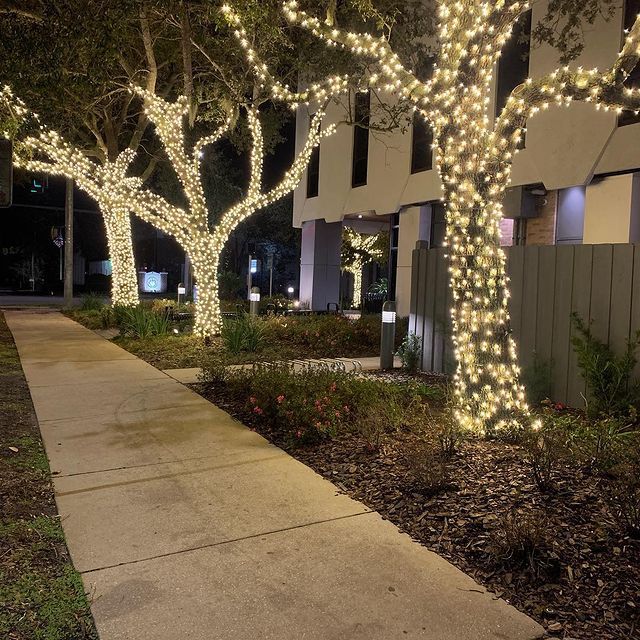 Christmas Light Installation