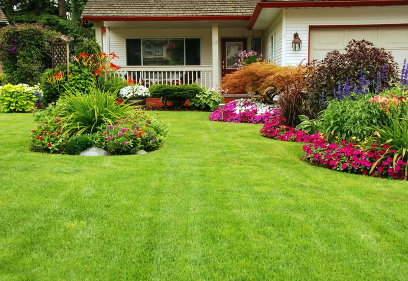 Tree & Shrub Care