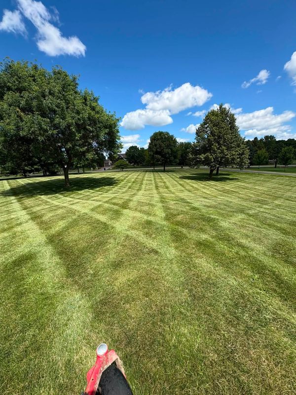 Lawn Care & Maintenance