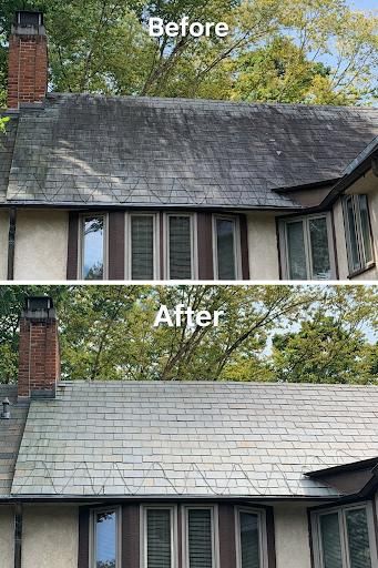 Roof Cleaning