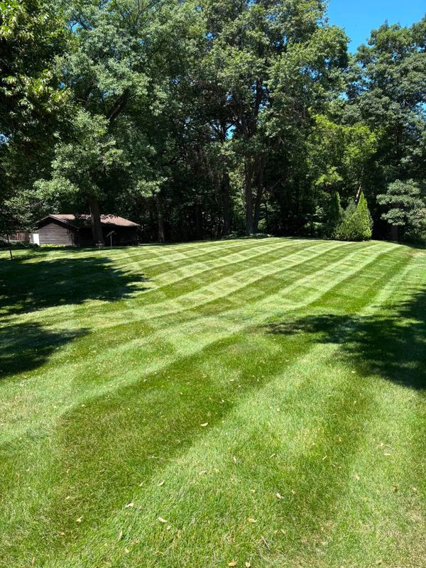 Lawn Care & Maintenance