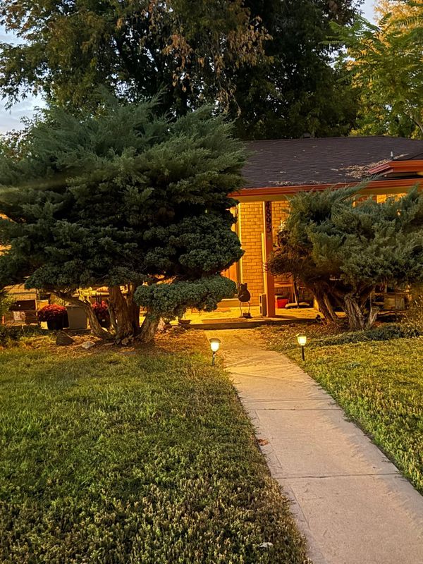 Landscape Design