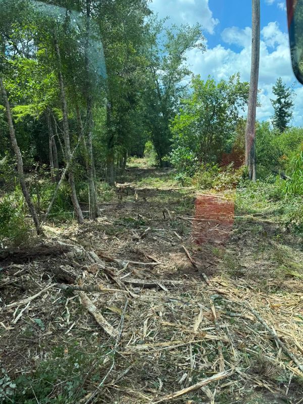 Land Clearing