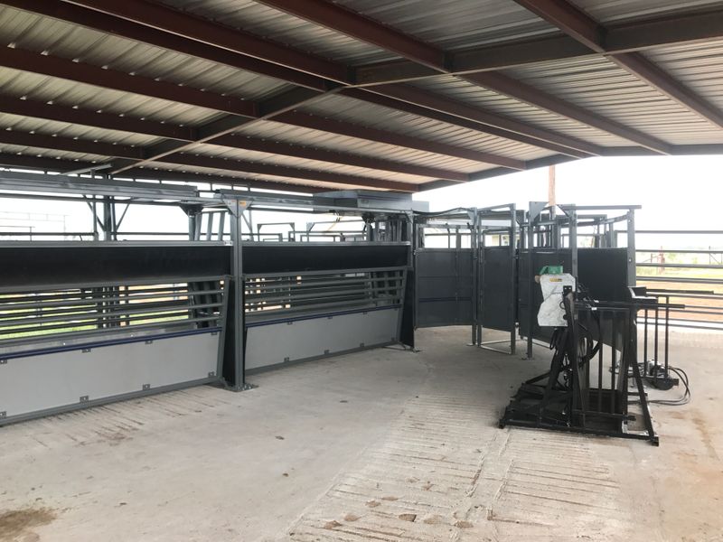 Cattle Pens gallery