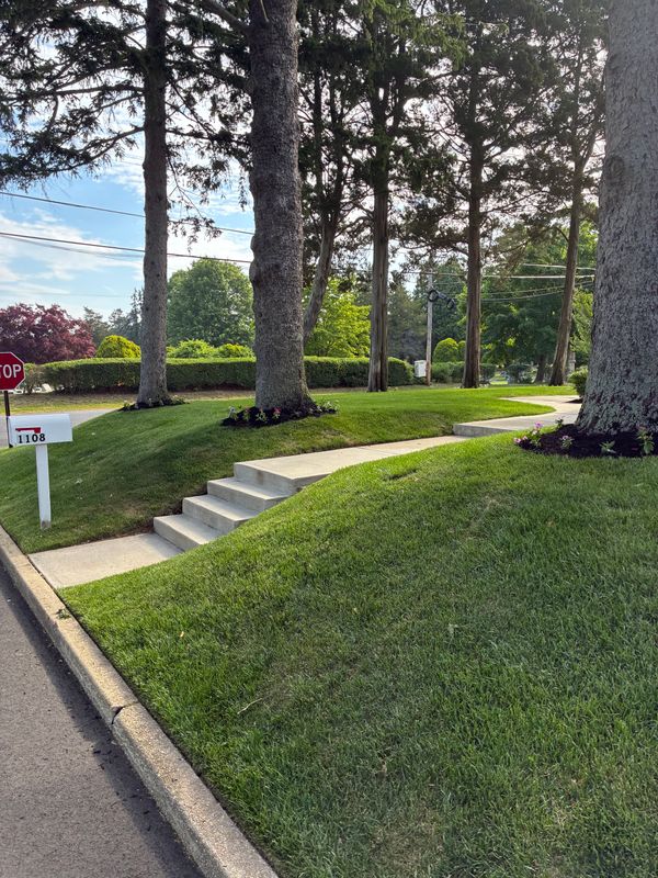 Lawn Maintenance
