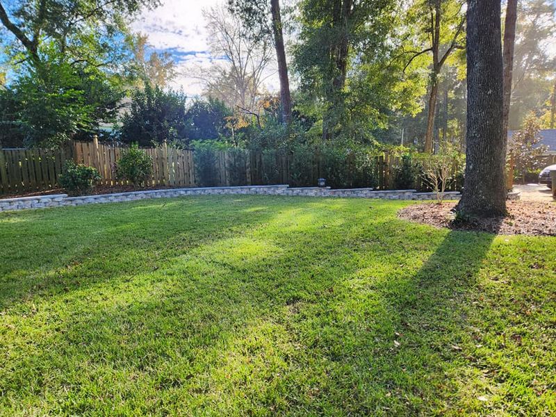 Lawn maintenance