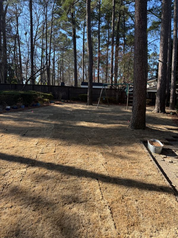 Lush Transformation: Precision Sod Installation by SodGods Lawncare and Landscaping