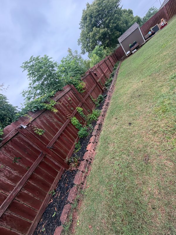 Landscape Design & Planting