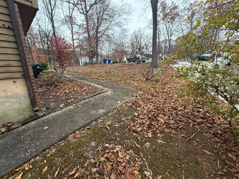 Leaf Removal