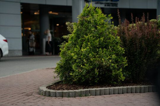 Commercial Landscaping
