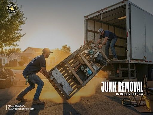 Junk Removal