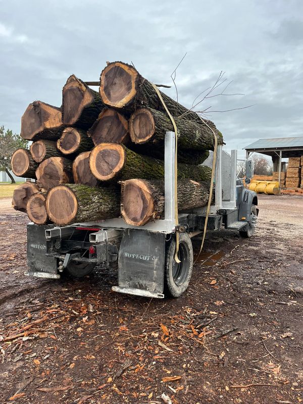 Logging