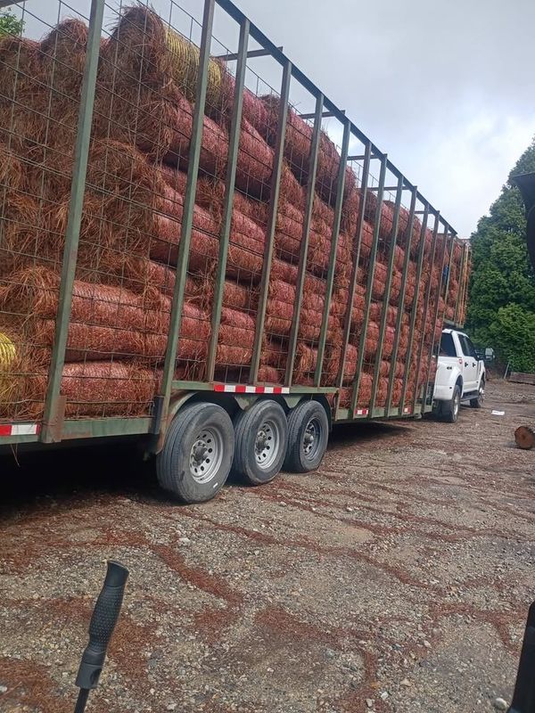 Pinestraw Installation