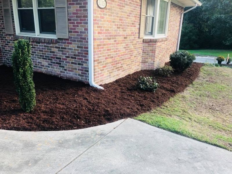 Landscape Design